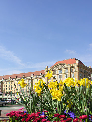 Fotos Altmarkt