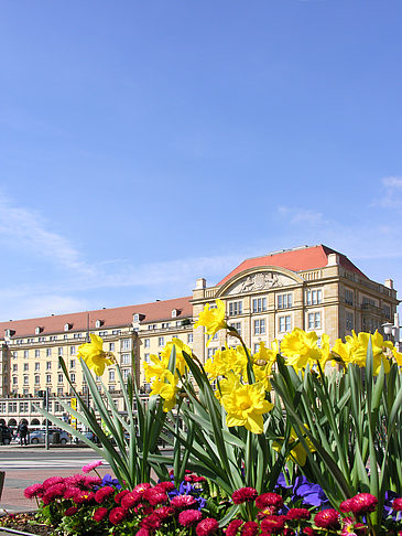 Altmarkt Foto 