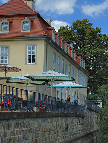 Bärenzwinger Fotos