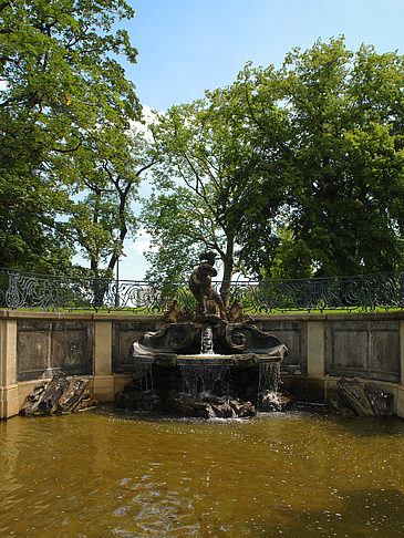 Fotos Delphinbrunnen | Dresden