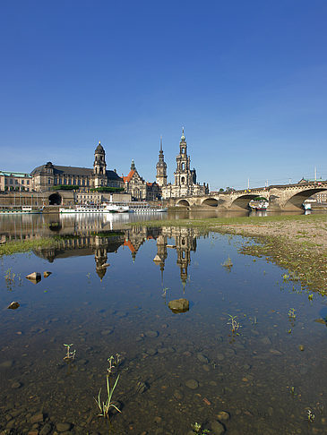 Fotos Elbe Nahaufnahme | Dresden