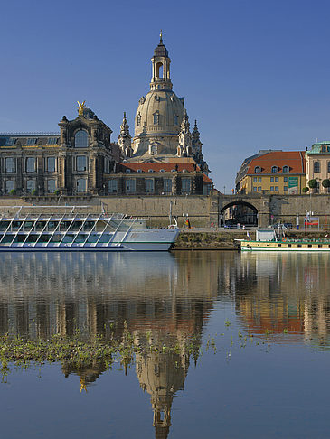 Fotos Elbe Nahaufnahme | Dresden