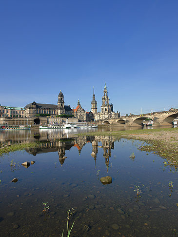 Fotos Elbe Nahaufnahme | Dresden