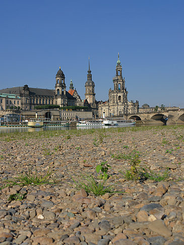 Fotos Ufer Nahaufnahme | Dresden