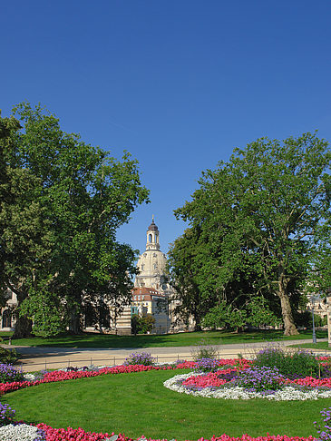 Foto Garten vor Frauenkirche - Dresden