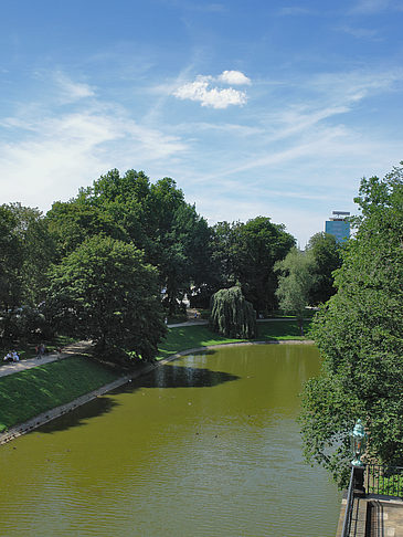 Zwingerteich Foto 