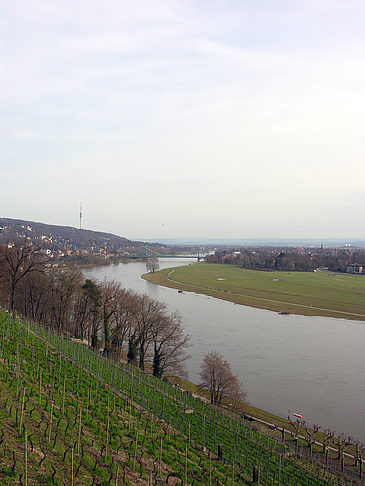 Elbe Foto 