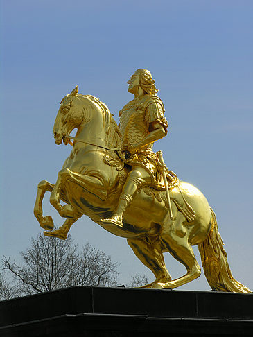 Foto Goldener Reiter