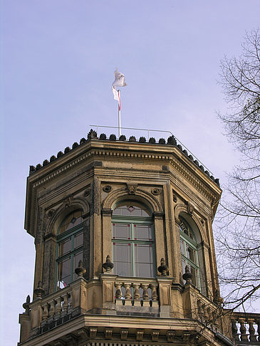 Villa Stockhausen Fotos