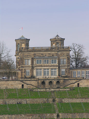 Foto Villa Stockhausen - Dresden