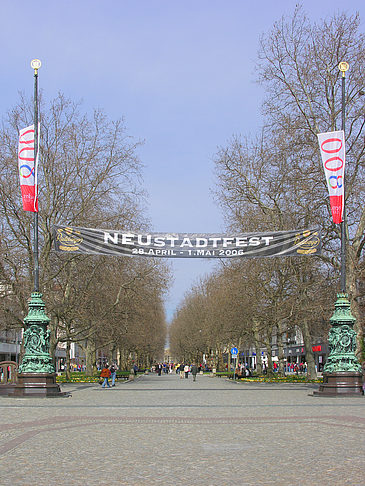 Neustädter Markt
