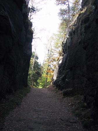 Wanderwege im Wald Fotos