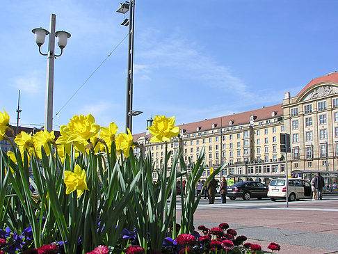 Altmarkt