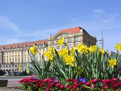 Altmarkt Foto 