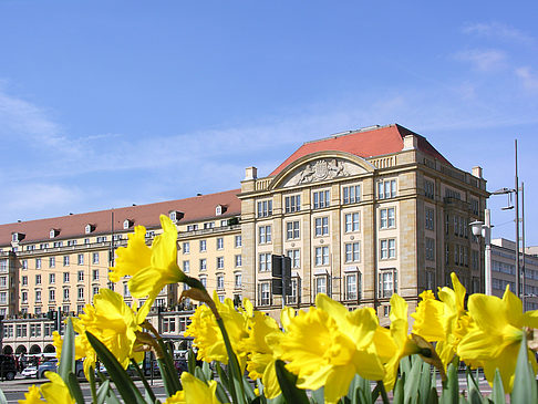 Foto Altmarkt