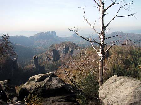 Blick über die Wälder Fotos