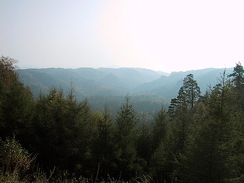 Foto Blick über die Wälder