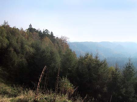 Foto Blick über die Wälder - 