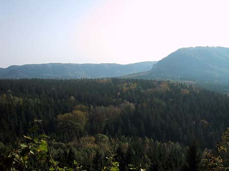 Foto Blick über die Wälder