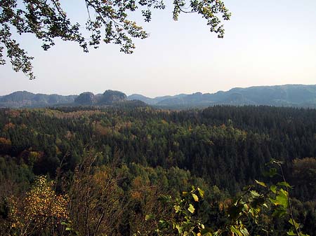 Blick über die Wälder