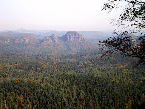 Foto Blick über die Wälder - 