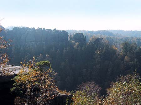 Blick über die Wälder Fotos