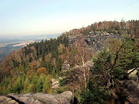 Foto Blick über die Wälder - 