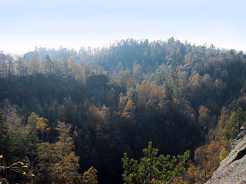 Blick über die Wälder