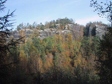 Blick über die Wälder Foto 