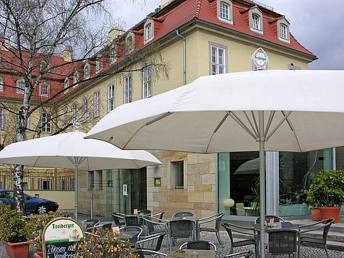 Brühlsche Gärten