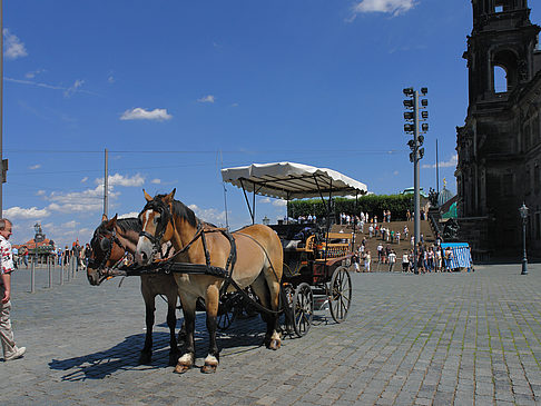 Pferdekutsche Foto 