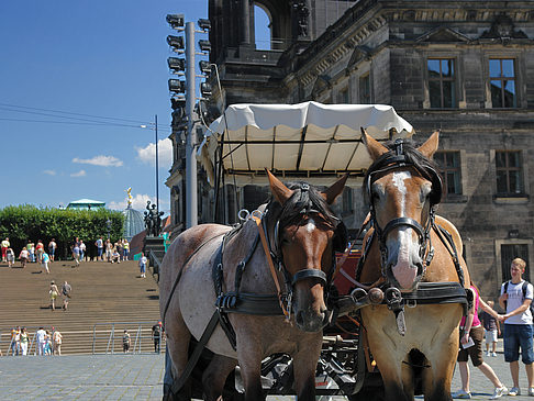 Pferdekutsche Foto 