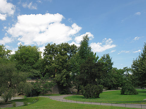 Fotos Bärenzwinger | Dresden