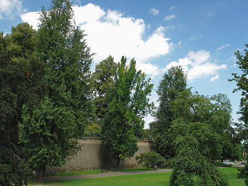 Foto Bärenzwinger - Dresden