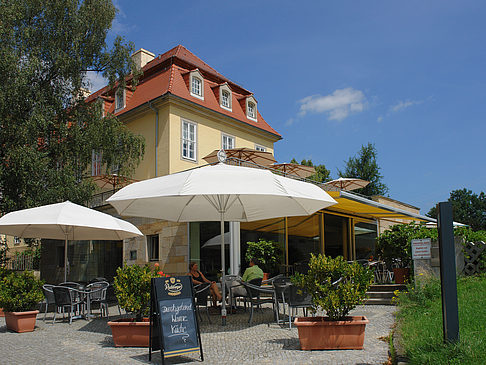Bärenzwinger