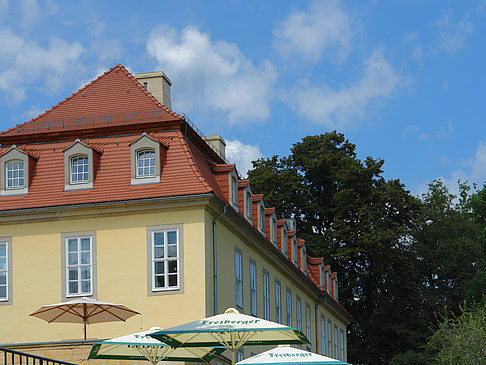 Bärenzwinger Fotos