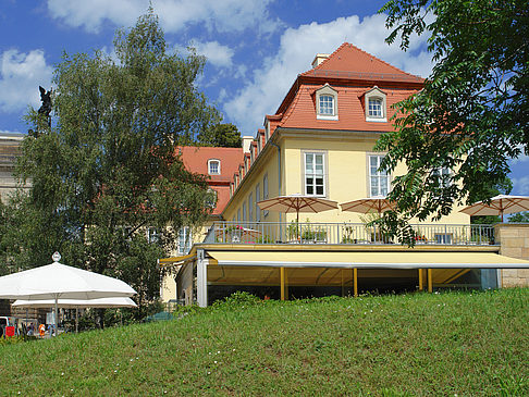 Bärenzwinger Fotos