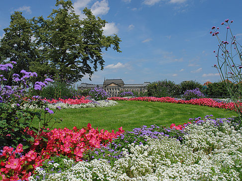 Foto Brühlscher Garten