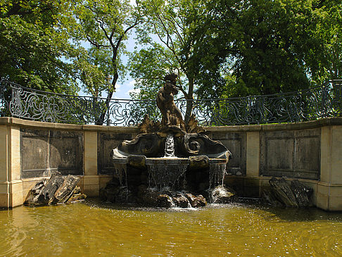 Fotos Delphinbrunnen | Dresden
