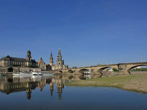 Foto Elbe Nahaufnahme - Dresden