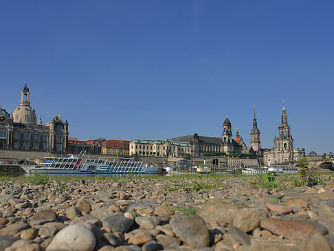 Fotos Ufer Nahaufnahme | Dresden