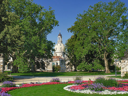 Foto Garten vor Frauenkirche - Dresden
