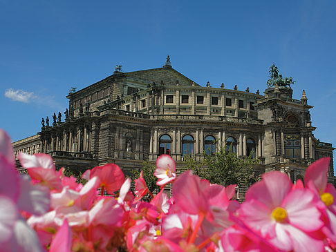 Fotos Semperoper mit Blumen | Dresden