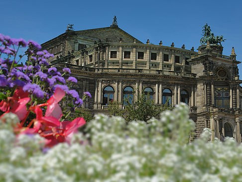 Semperoper mit Blumen Foto 