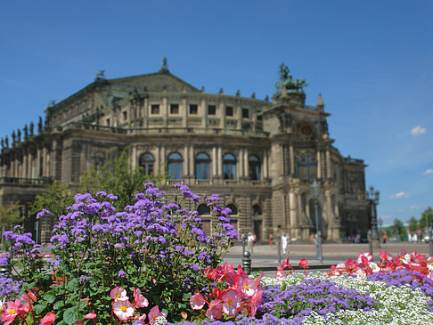 Semperoper mit Blumen