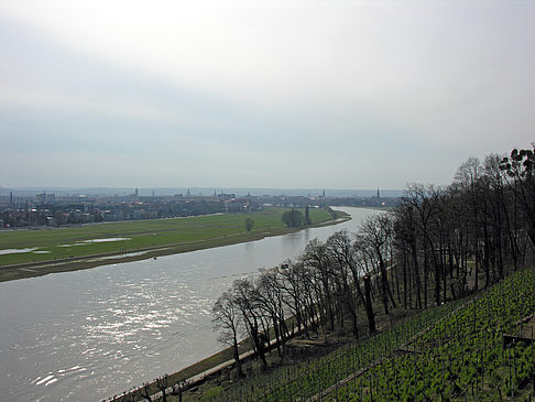 Foto Elbe - Dresden