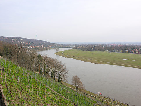 Elbe Fotos