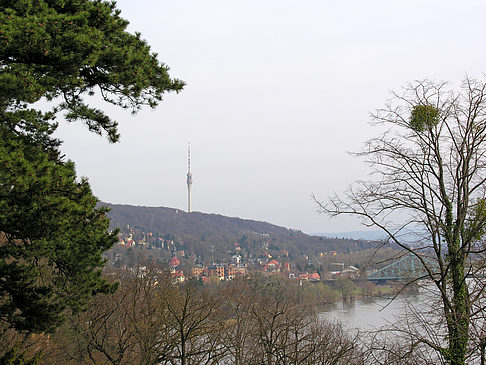 Elbe Foto 