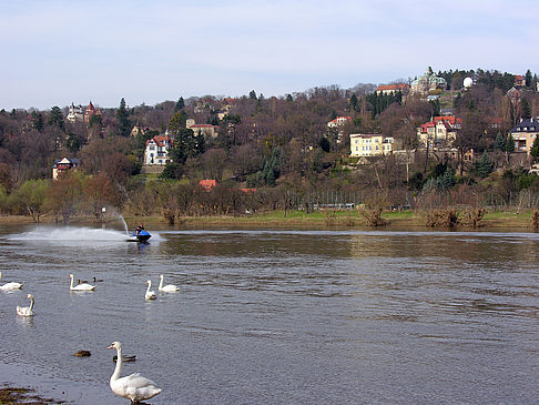 Villen am Elbufer Fotos
