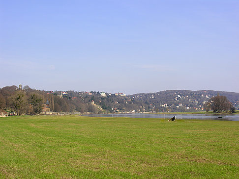 Foto Elbufer